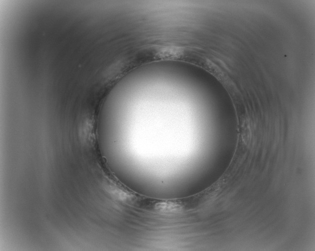X0000069410714200605151044