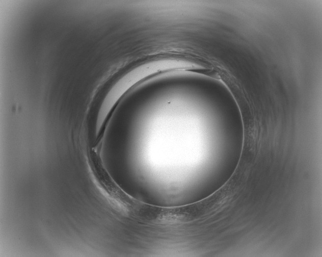 X0000069410734200605151044
