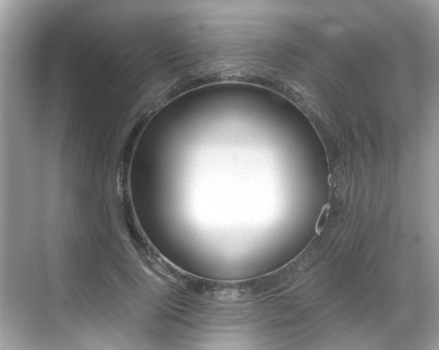 X0000069410740200605151044