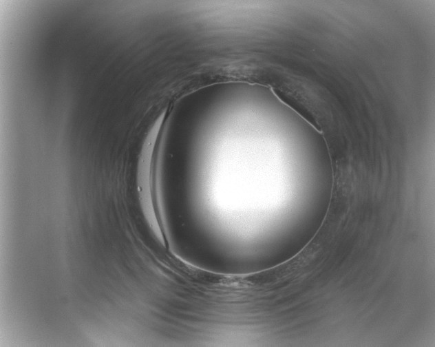 X0000069410752200605151044