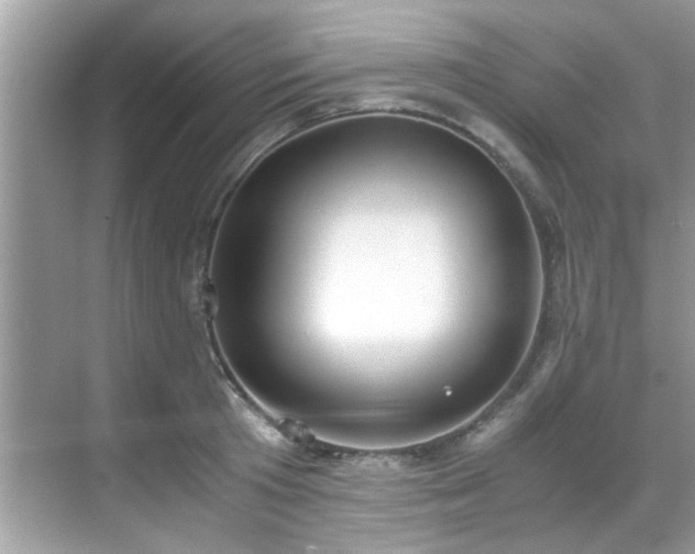 X0000069410801200605151043