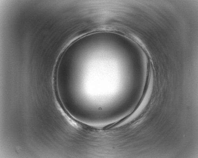X0000069410803200605151043