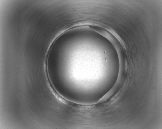 X0000069410813200605151043