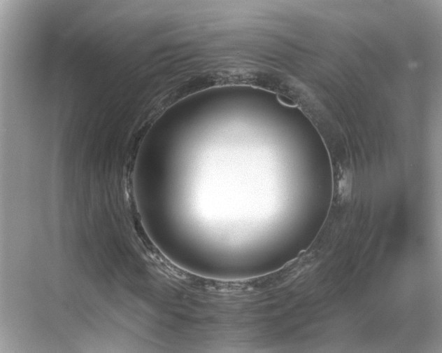 X0000069410819200605151042