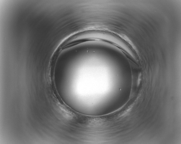 X0000069410830200605151042