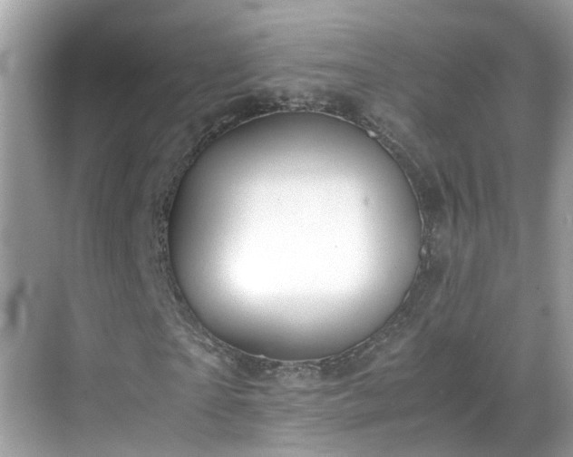 X0000069410865200605151042