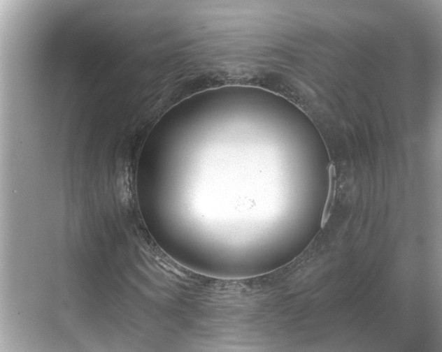 X0000069410866200605151042