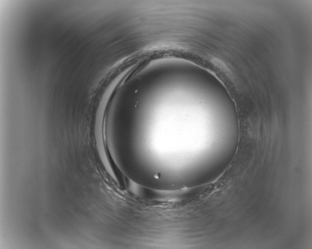 X0000069410872200605151042