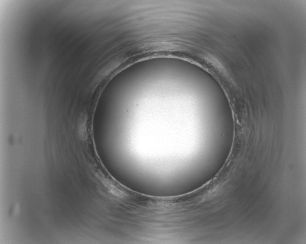 X0000069410873200605151042