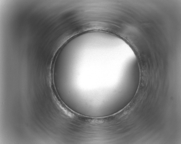 X0000069410890200605151042