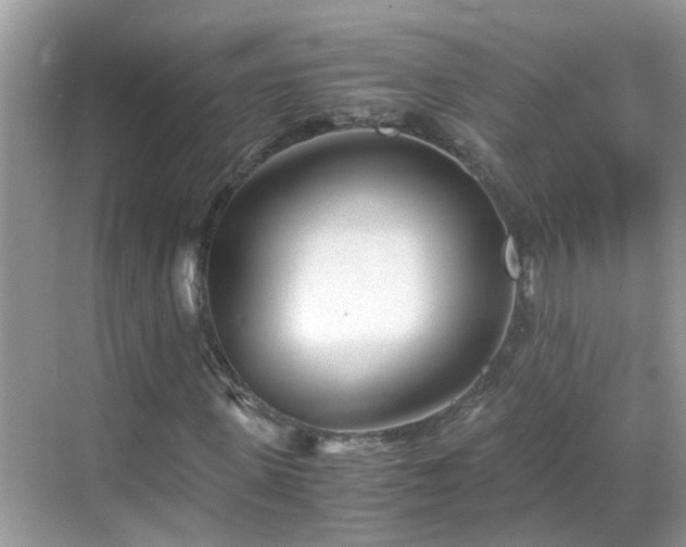 X0000069410915200605151040