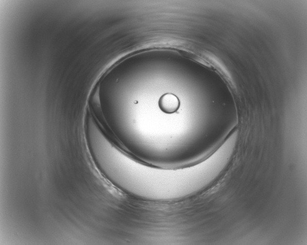 X0000069410948200605151041