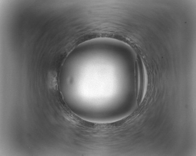 X0000069410963200605151040