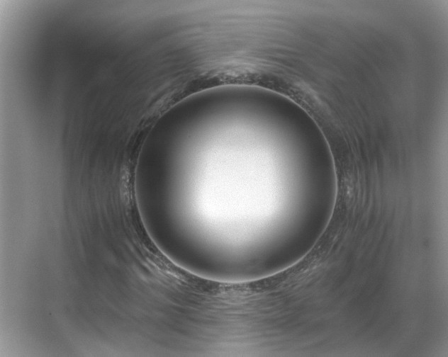 X0000069410964200605151040