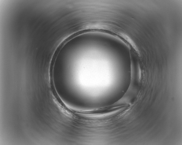 X0000069410980200605151040