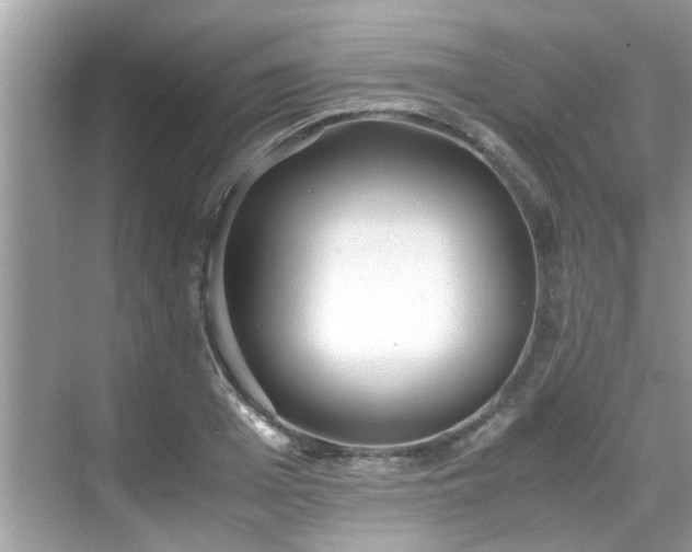 X0000069410985200605151040