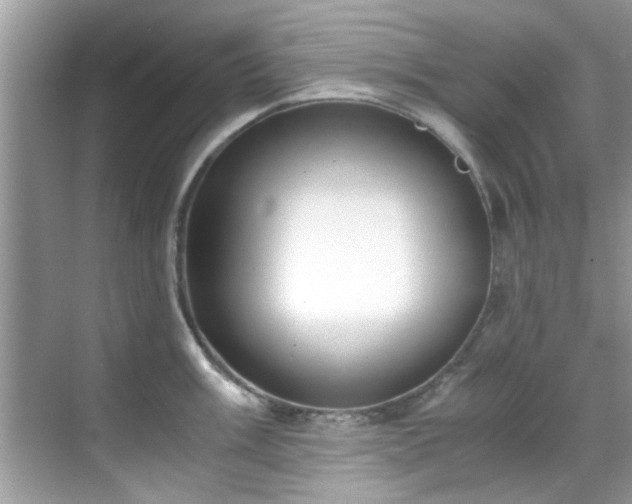X0000069411003200605151040