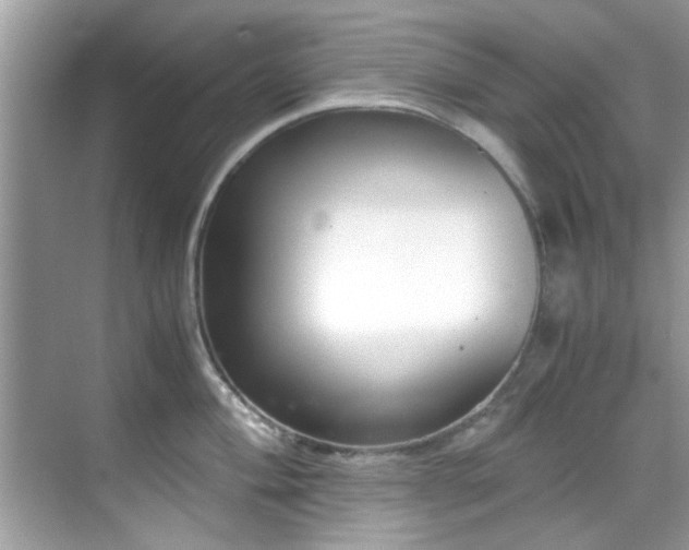 X0000069411004200605151040