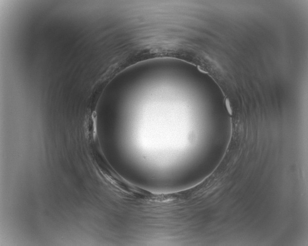 X0000069411012200605151039
