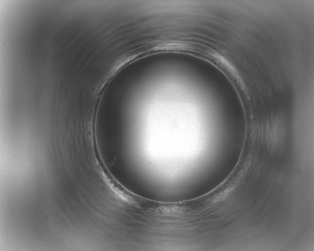 X0000069411041200605151039
