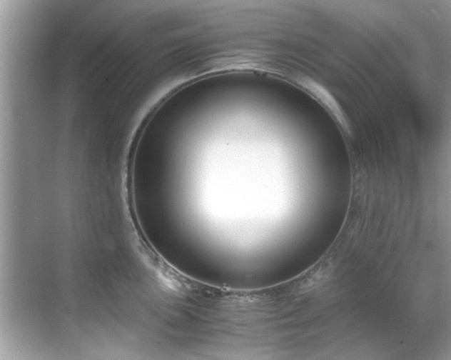 X0000069411051200605151039