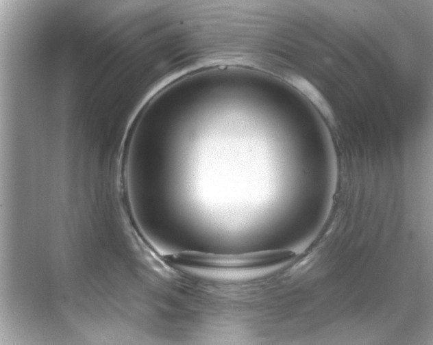X0000069411052200605151039