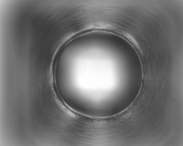 X0000069411080200605151038