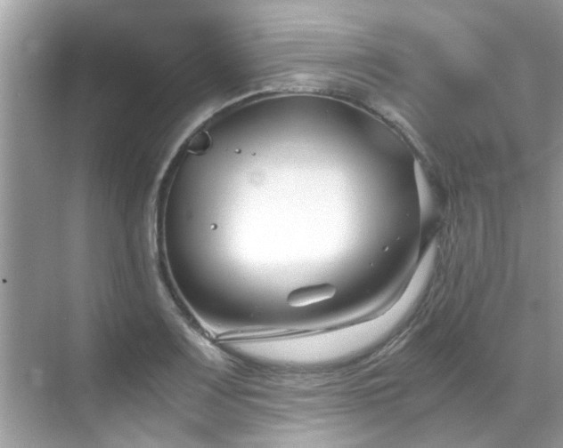 X0000069411083200605151038