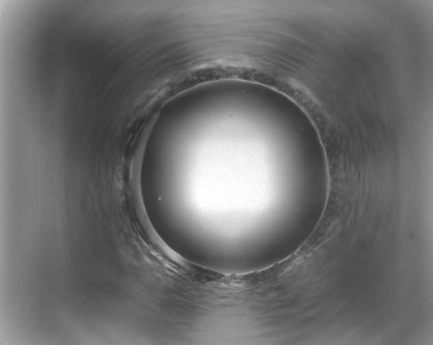 X0000069411110200605151037