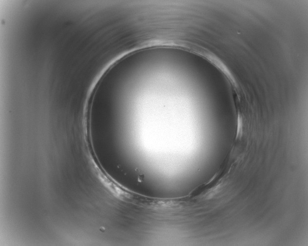 X0000069411148200605151038