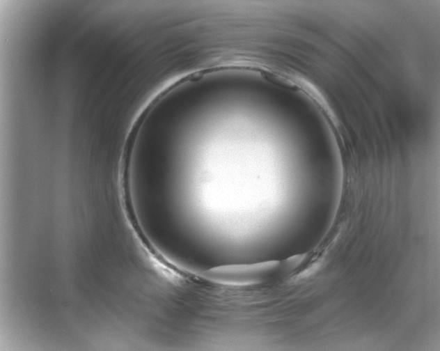 X0000069411149200605151038