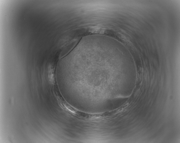 X0000069411154200605151037
