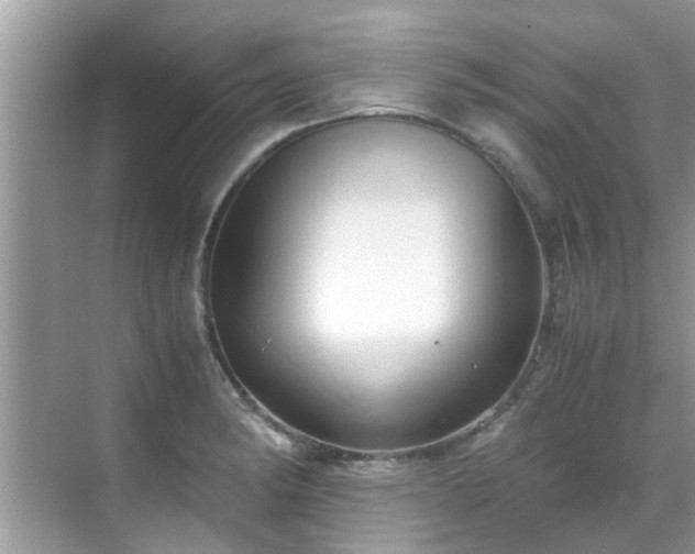 X0000069411182200605151037
