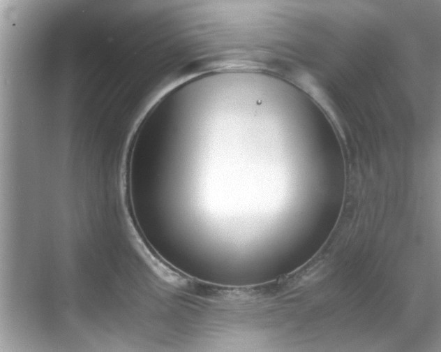 X0000069411195200605151036