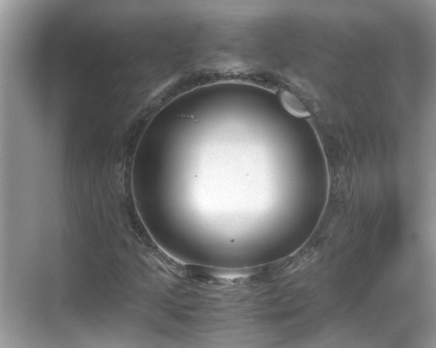 X0000069411205200605151036