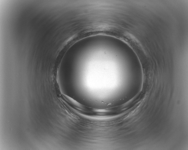 X0000069411210200605151036