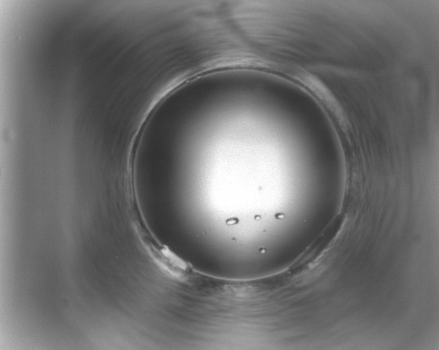 X0000069411242200605151036