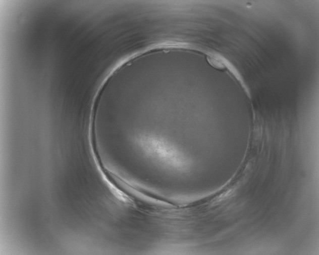 X0000069411245200605151036