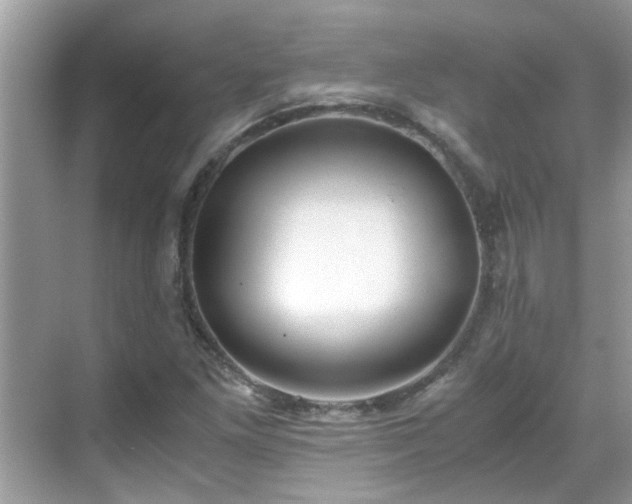 X0000069411261200605151035