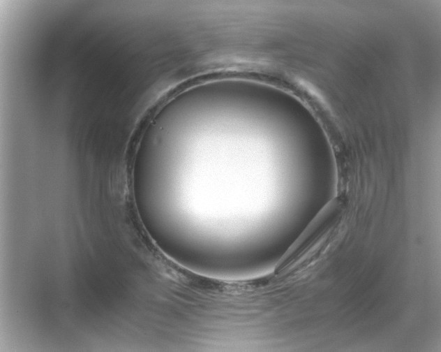 X0000069411267200605151035