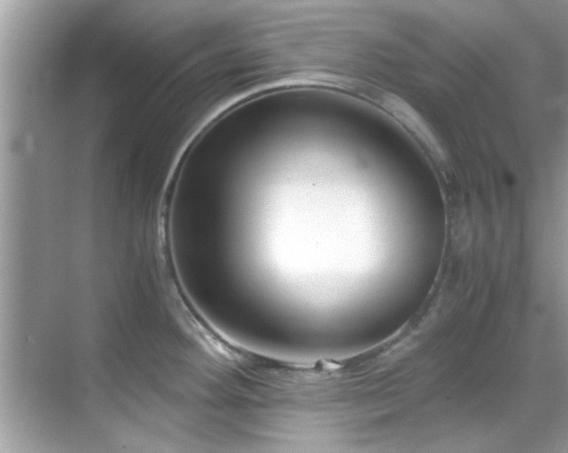 X0000069411292200605151035