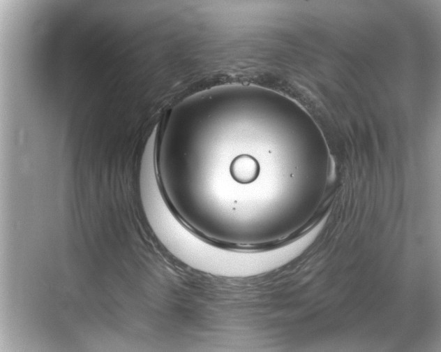 X0000069411298200605151034