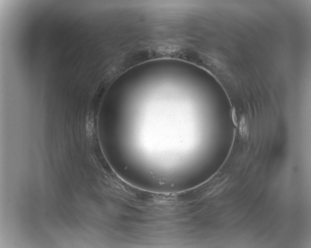 X0000069411299200605151034