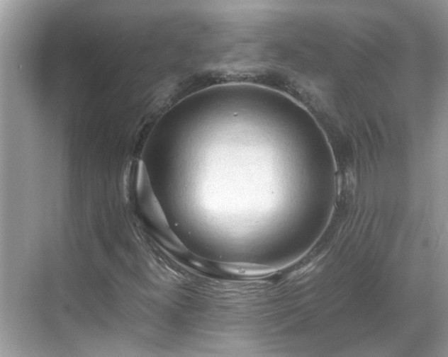 X0000069411300200605151034