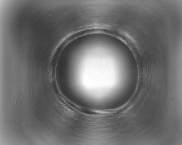 X0000069411310200605151034