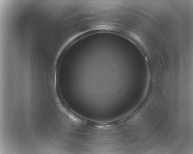 X0000069411323200605151034
