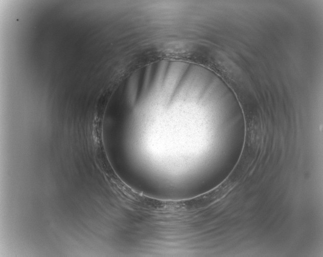 X0000069411346200605151034
