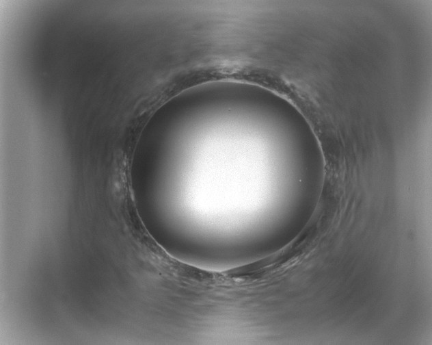 X0000069411349200605151034