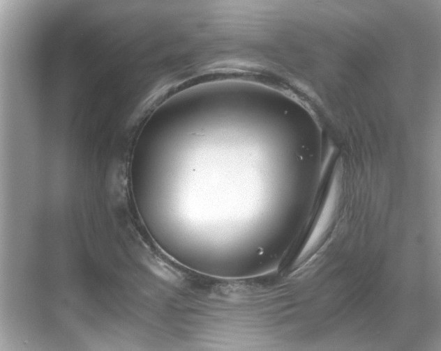 X0000069411355200605151034