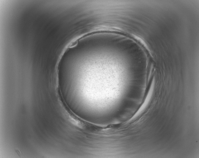 X0000069411371200605151033